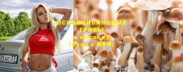 марки lsd Весьегонск