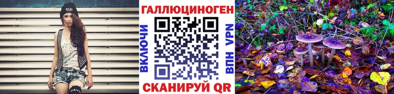 цены наркотик  Пионерский  Псилоцибиновые грибы Cubensis 